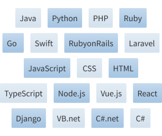 Java | Python | PHP | Ruby | Go | Swift | Ruby on Rails | Laravel | JavaScript | CSS | HTML | TypeScript | Node.js | Vue.js | React | Django | VB.net | C#.net | C#